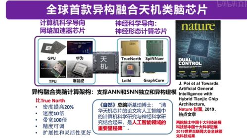 從類腦計(jì)算到機(jī)器學(xué)習(xí) 四大知名AI教授線上分享干貨，引領(lǐng)計(jì)算機(jī)軟硬件開(kāi)發(fā)新趨勢(shì)